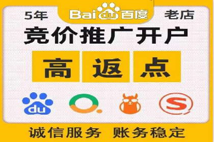 百度竞价代理的运营策略与成功案例分析